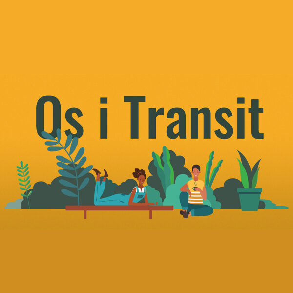 Os-i-Transit-Ledige-dimmitender